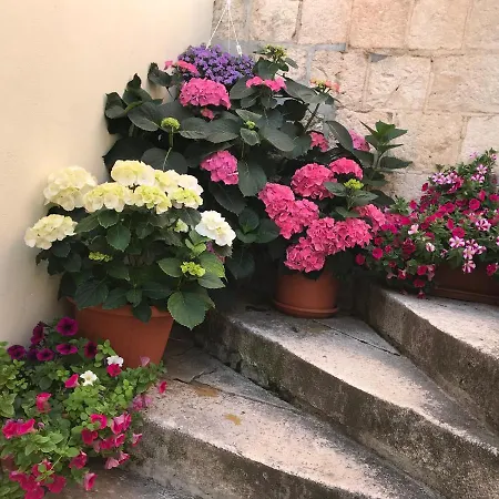 Oda ve Kahvaltı Romantic Luxury Split